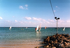 1998 - Guadeloupe 01 (UCPA - Saint François - Mars 1998)
